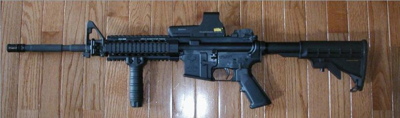 Stag AR with EOTech